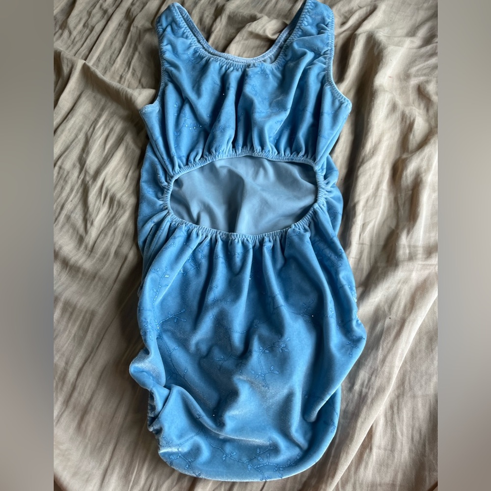 Sparkly Gymnastics/Dance Leotard